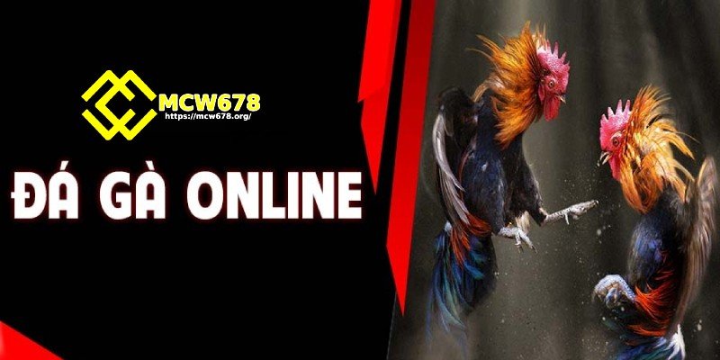 MCW678 – Trang Đăng Nhập Mcw Casino Chính Thức Tại Châu Á 13 Đá gà trực tuyến